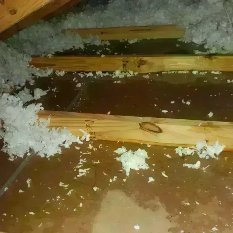 Attic Water Damage in West Columbia, SC