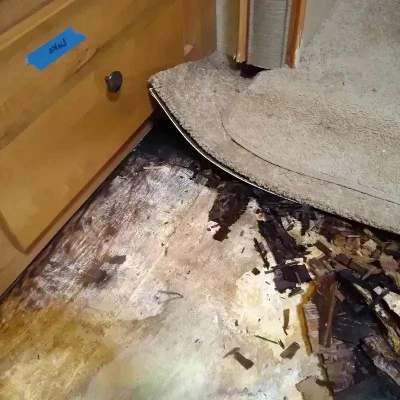 Best Wood Floor Water Damage Service in West Columbia, SC